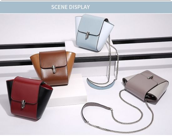 Nice Designer Lady Handbag with Chain Strap Popular Handbag Clutch Bag Crossbody (WDL0227)