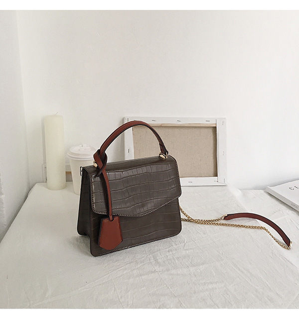 Ddesigner Handbags Leather Handbags Ladies Bag Ladies Handbag Women Bag Designer Bag (WDL0365)