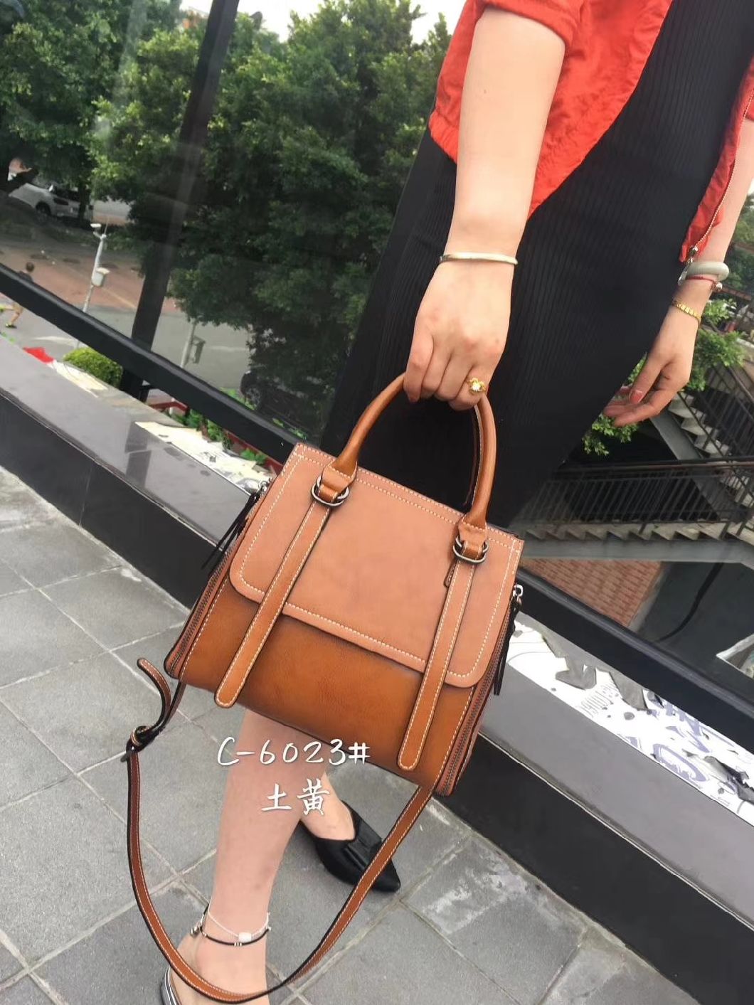 Ladies Handbag Fashion Bag Ladies Handbags Popular Handbag Women Handbag Designer Handbag Classic Women Bag (WDL01157)