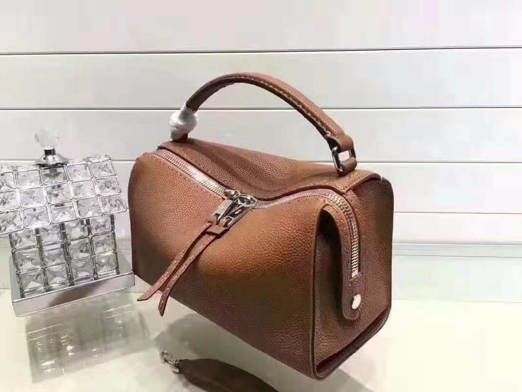 Lady Handbags Wholesale Fashion Handbags Leather Handbags Tote Bag Lady Handbag Woman Handbag (WDL014560)