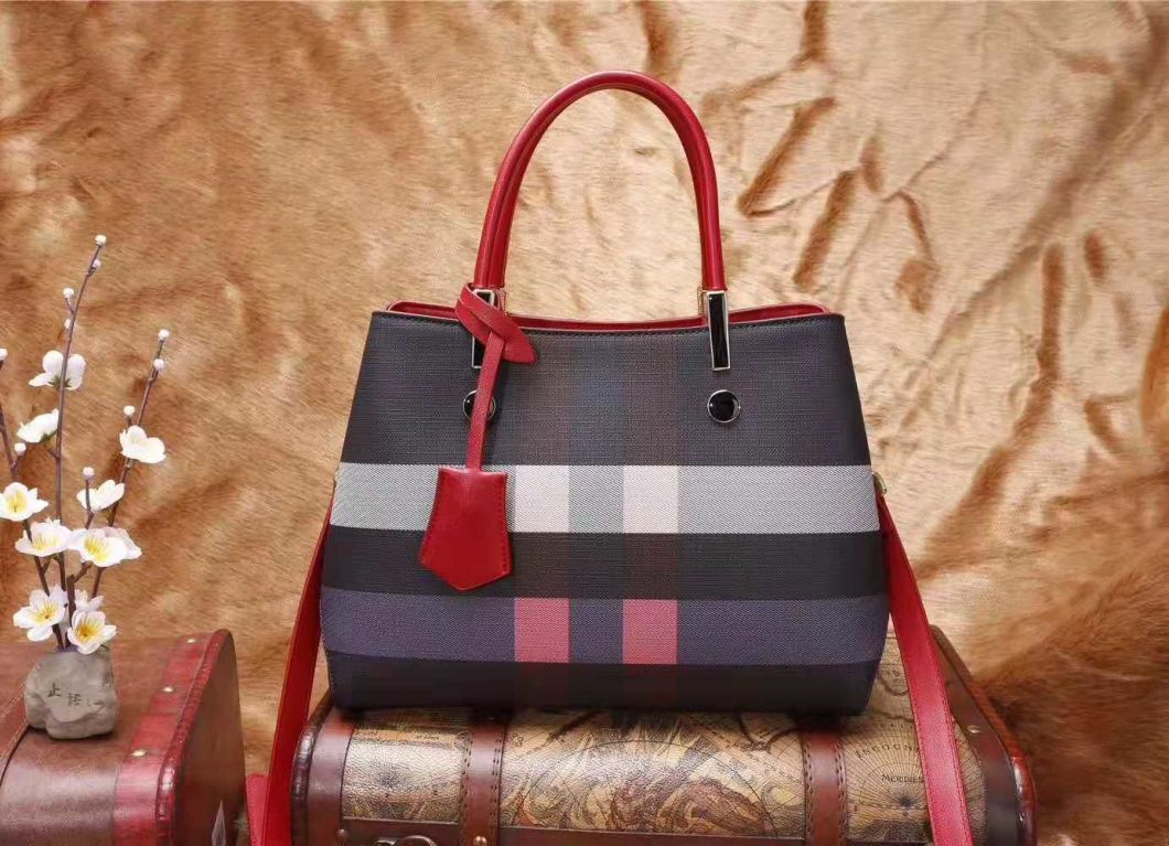 Lady Handbags Wholesale Fashion Handbags Leather Handbags Tote Bag Lady Handbag Woman Handbag (WDL014555)