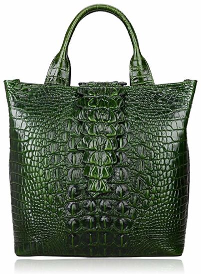 Handbags Lady Handbag Handbag Tote Bag Hand Bag Lady Handbags Designer Handbags Fashion Handbag Fashion Bags (WDL01483)