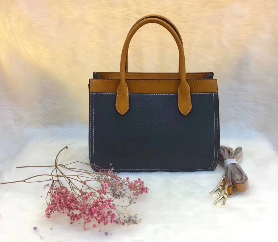 Lady Tote Popular Lady Handbag Ladies Handbag Fashion Bag PU Leather Handbag Leather Handbags Designer Handbag ODM/OEM Handbag (WDL01158)