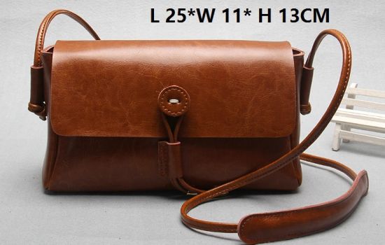 Fashion Promotion Lady Handbag New Designer Hot Sell Shoulder Bag (WDL0113)
