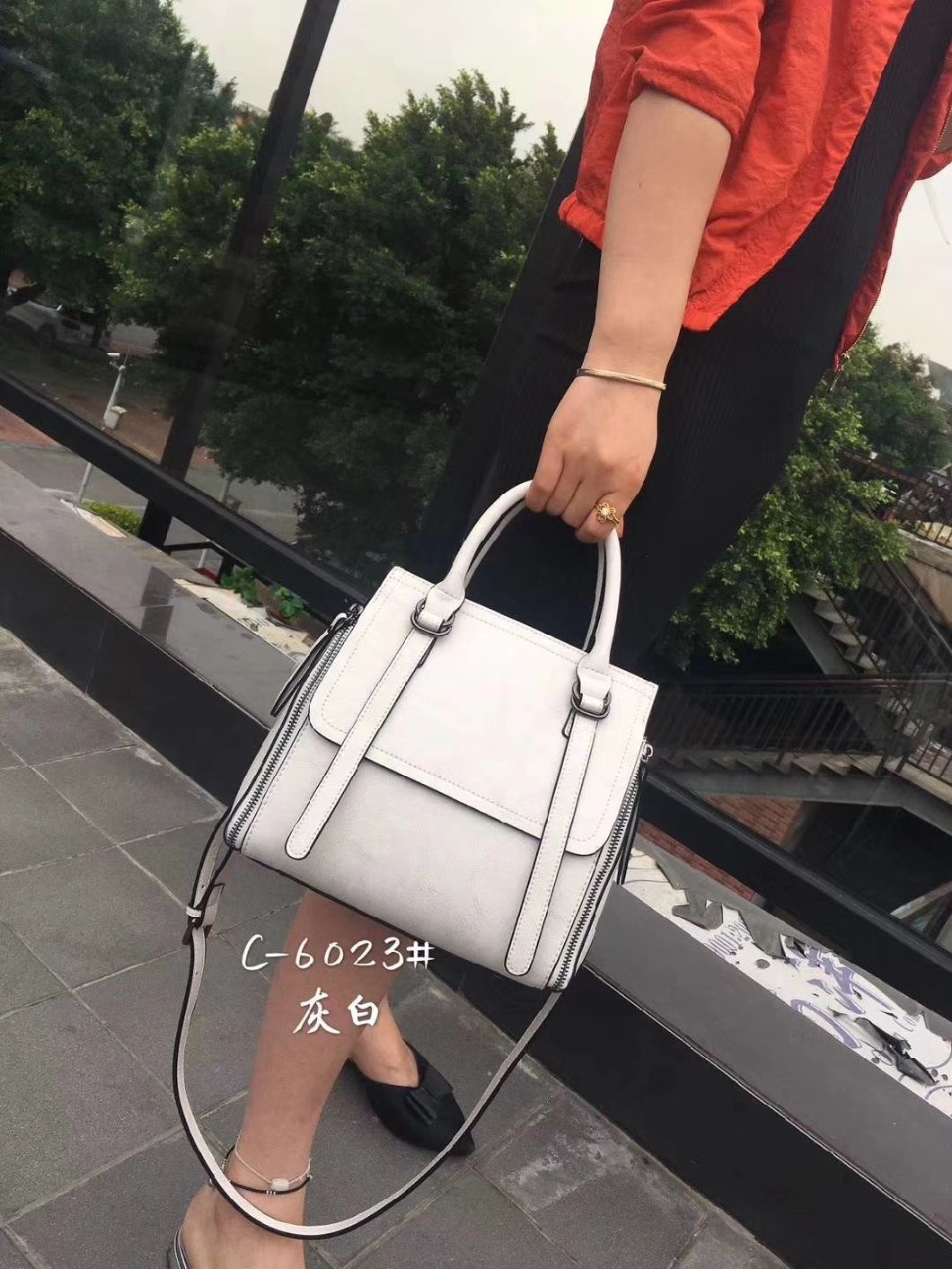 Ladies Handbag Fashion Bag Ladies Handbags Popular Handbag Women Handbag Designer Handbag Classic Women Bag (WDL01157)