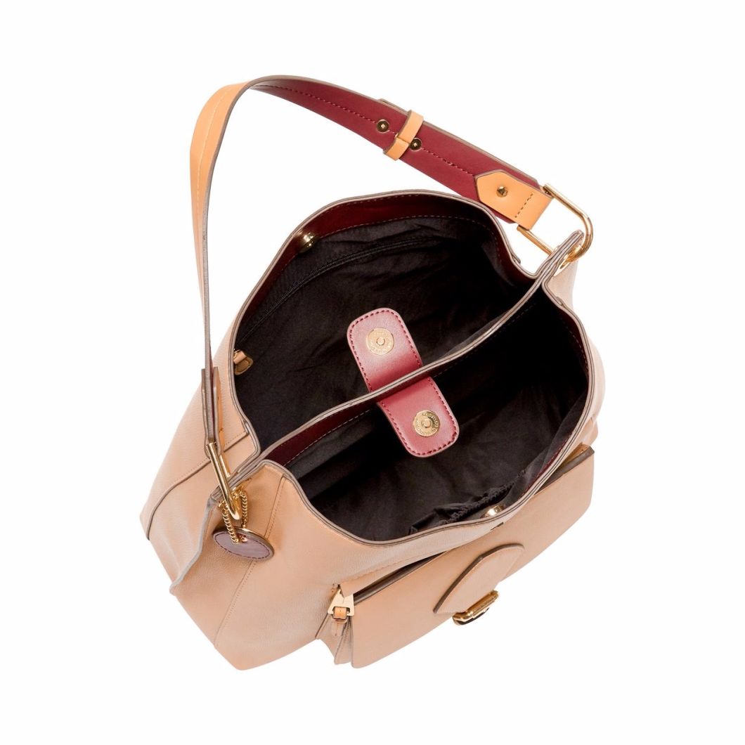 Handbag Lady Handbags Hand Bag Leather Handbags Fashion Handbag Designer Handbag Designer Lady Handbag Ladies Bag Tote Bag Ladies Handbag (WDL014648)