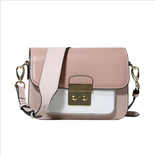 Handbag Lady Handbags Ladies Handbag Designer Handbag Fashion Handbags Leather Handbags Fashion Handbag (WDL01392)