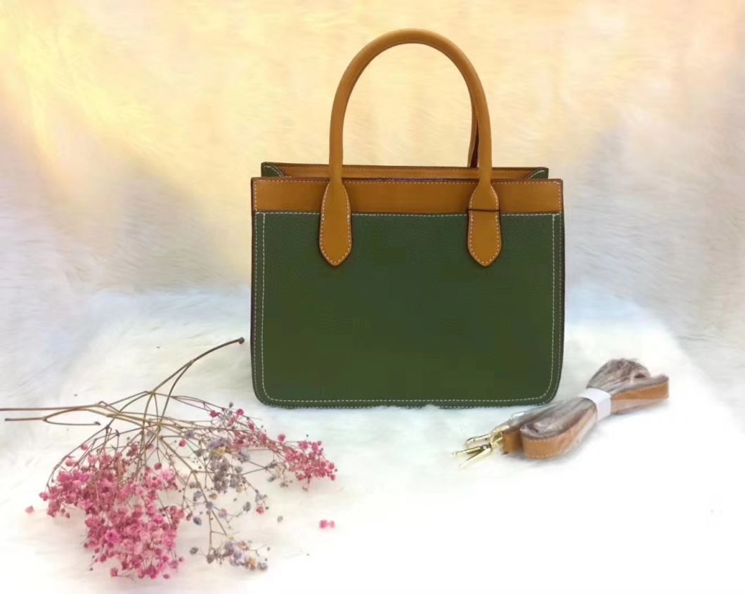 Lady Tote Popular Lady Handbag Ladies Handbag Fashion Bag PU Leather Handbag Leather Handbags Designer Handbag ODM/OEM Handbag (WDL01158)