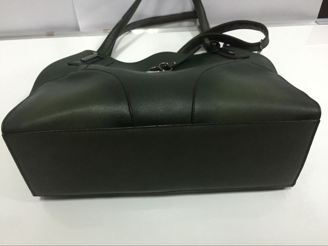 High Quality Hot Sell Lady Handbag Nice Designer Handbag Popular Handbag (WDL0173)