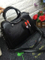Fashion Lady Handbag, Women Bag, Designer Bag, High Quality Lady Bag (WDL0082)