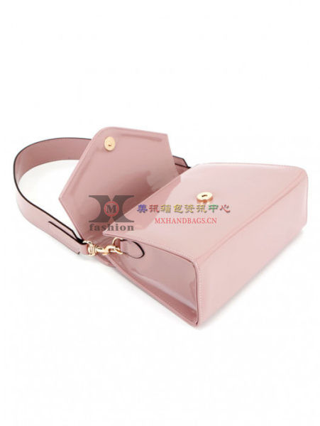 Lady Handbags Designer Handbag Fashion Handbag Tote Bag Ladies Handbag Ladies Bag Hand Bags (WDL014604)