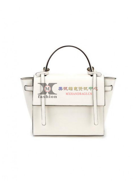 Lady Handbags Designer Handbag Fashion Handbag Tote Bag Ladies Handbag Ladies Bag Hand Bags (WDL014603)