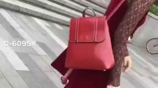 Ladies Handbag Hand Bags High Quality Replica Handbag Black and White Hot Sell Shoulder Lady Bag Simple Women Bag Women Bag Lady Handbag (WDL014565)