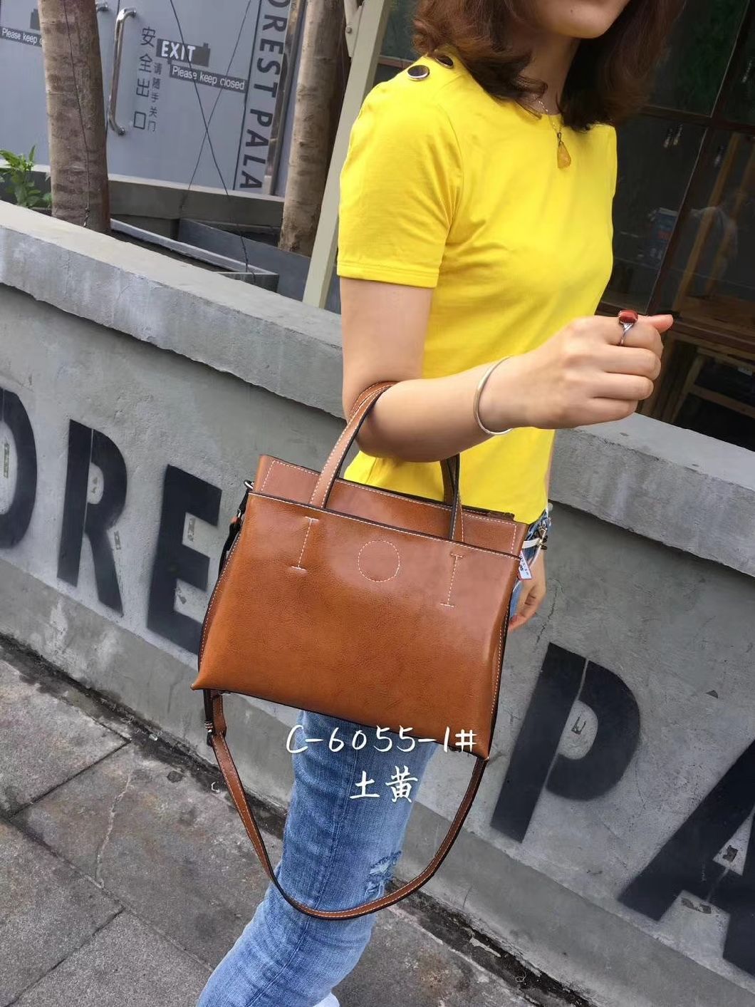 Handbags Pupular Lady Handbag Ladies Handbag Fashion Bag PU Handbag Ladies Bag Leather Handbags (WDL01154)
