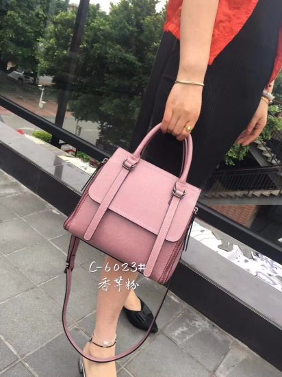 Ladies Handbag Fashion Bag Ladies Handbags Popular Handbag Women Handbag Designer Handbag Classic Women Bag (WDL01157)