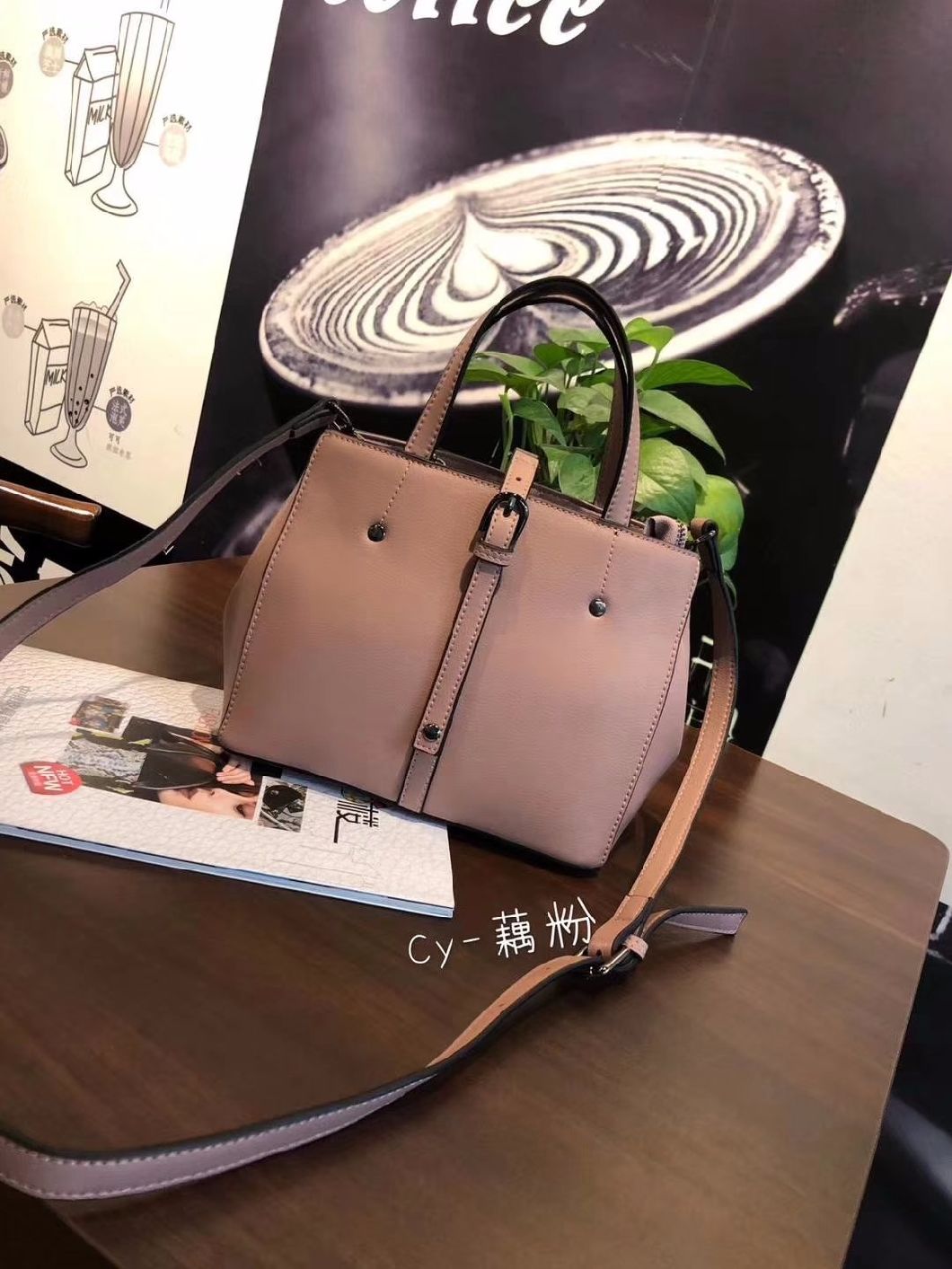 Pupolar Lady Handbag Ladies Handbag Fashion Bag Ladies Bag PU Leather Handbag OEM/ODM Handbags (WDL01149)