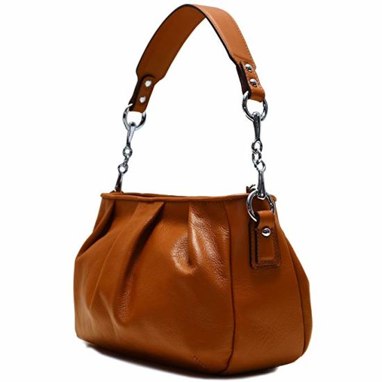 Crossbody Bag Hobo Bag Lady Handbag Ladies Handbags Women Bag Designer Handbag Fashion Handbags (WDL01434)