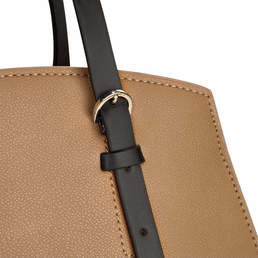 Handbag Lady Handbags Hand Bag Leather Handbags Fashion Handbag Designer Handbag Designer Lady Handbag Ladies Bag Tote Bag Ladies Handbag (WDL014653)