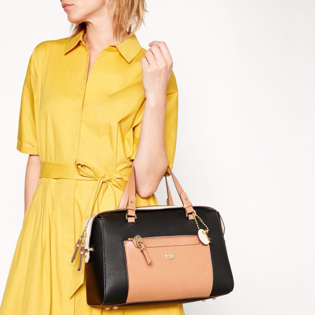 Handbag Lady Handbags Hand Bag Leather Handbags Fashion Handbag Designer Handbag Designer Lady Handbag Ladies Bag Tote Bag Ladies Handbag (WDL014652)