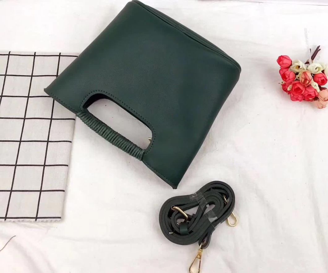 Fashion Crossbody Handbag Hot Sell Designer Ladies Bag Women Bag Popular Handbags (WDL0090)