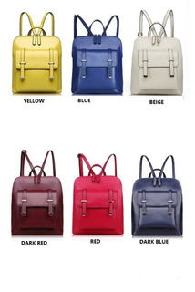Women Backpack, PU Backpack, Lady Packpack Ladies Bag PU Leather Backpack (WDL0069)