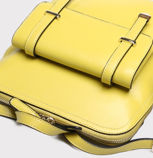 PU Backpack, Lady Backpack, Fashion Backpack Ladies Backpack Popular Lady Bags (WDL0068)