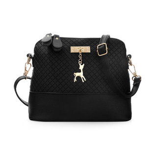 New Fashion Women′s Messenger Bag Crossbody Bag (WDL0902)