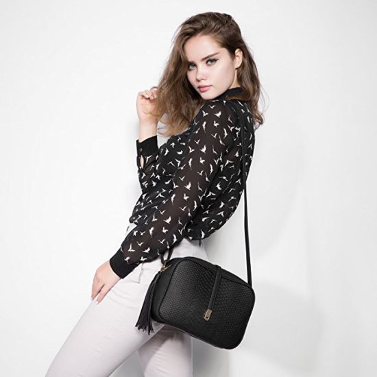 Lady Handbag Female Handbags Fashionable Handbag Pupular Lady Handbag Ladies Handbag Fashion Bag Ladies Handbag (WDL01148)