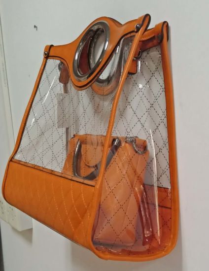Lady Handbag Fashion Transparent Handbags Packpack Designer Handbag Women Backpack Popular Handbag (WDL01231)