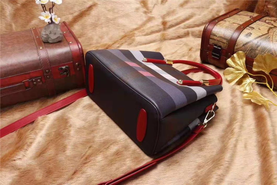 Lady Handbags Wholesale Fashion Handbags Leather Handbags Tote Bag Lady Handbag Woman Handbag (WDL014554)