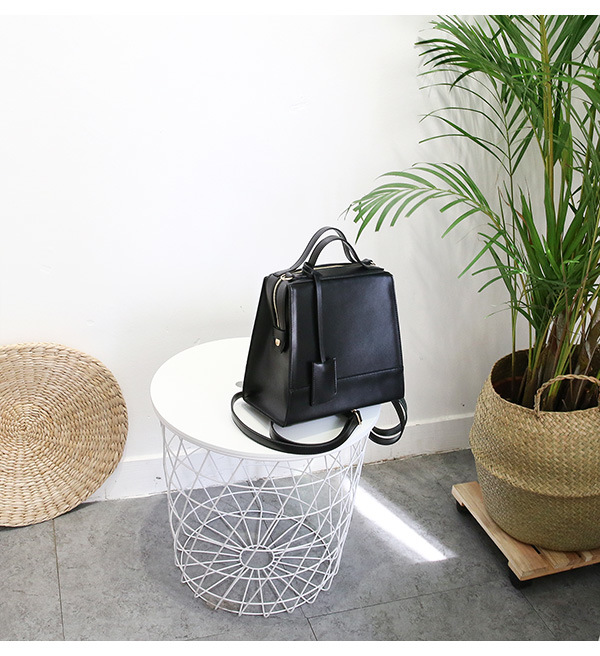 Fashion Lady Handbag Designer Bag Promotional Bag Fashion Bags Leather Handbags PU Bag Women's Handbag (WDL0361)