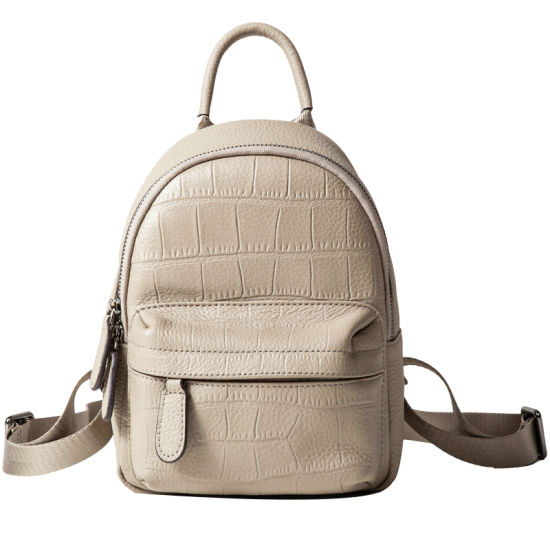 Lady Backpacks Girls Backpacks School Bags and Fashion Backpacks Women Backpack (WDL0049)