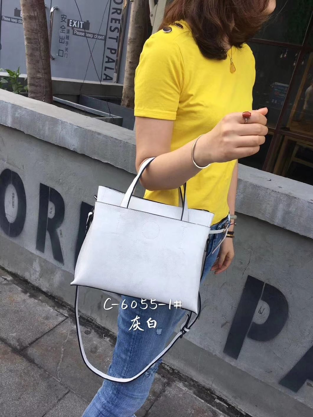 Handbags Pupular Lady Handbag Ladies Handbag Fashion Bag PU Handbag Ladies Bag Leather Handbags (WDL01154)