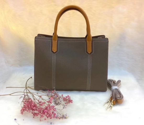 Lady Tote Popular Lady Handbag Ladies Handbag Fashion Bag PU Leather Handbag Leather Handbags Designer Handbag ODM/OEM Handbag (WDL01158)