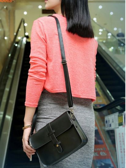 Simple Lady Promotion Crossbody Handbag Shoulder Bag Women Bag (WDL0228)