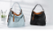 High Fashion Lady Handbag Causal Shoulder Bag Large Tote (WDL0953)