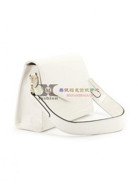 Lady Handbags Designer Handbag Fashion Handbag Tote Bag Ladies Handbag Ladies Bag Hand Bags (WDL014604)
