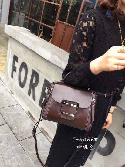 Handbags Popular Lady Handbag Ladies Handbag Fashion Bag PU Leather Bags Women Handbag (WDL01156)