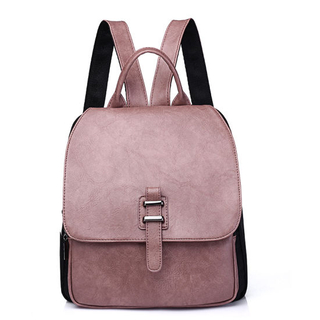 Women Backpacks Lady Shoulder Bag Female Mini Backpack (WDL0938)