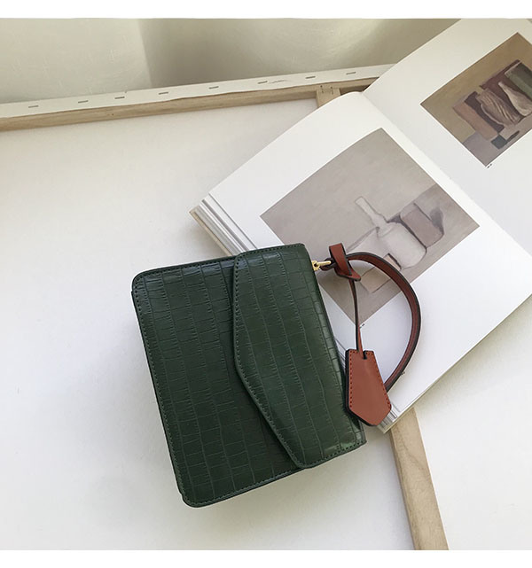 Ddesigner Handbags Leather Handbags Ladies Bag Ladies Handbag Women Bag Designer Bag (WDL0365)