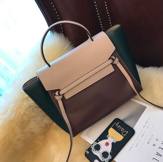 Fashion Lady Handbag, Designer Bag, Women Bag, Hot Sell Lady Bag (WDL0071)