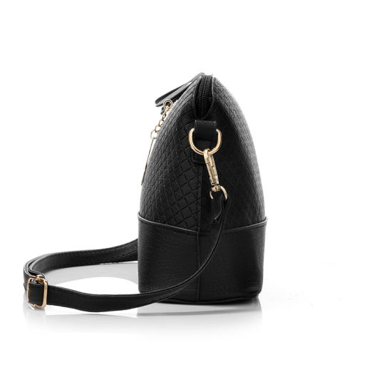 New Fashion Women′s Messenger Bag Crossbody Bag (WDL0902)