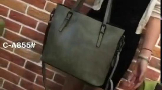 Ladies Handbag Hand Bags High Quality Replica Handbag Black and White Hot Sell Shoulder Lady Bag Simple Women Bag Women Bag Lady Handbag (WDL014563)