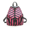 Lady Backpack Women Backpack Designer Backpack Fashion Backpack Popular Backpack (WDL01219)