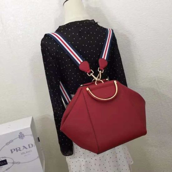 Fashion Lady Handbag Ladies Handbag Designer Handbag OEM Designer Bags Hot Sell Lady Bags (WDL014515)