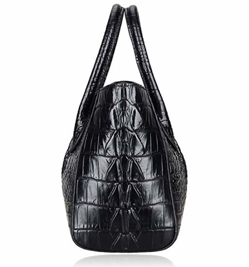 Handbags Lady Handbag Handbag Tote Bag Hand Bag Lady Handbags Designer Handbags Fashion Handbag Fashion Bags (WDL01484)
