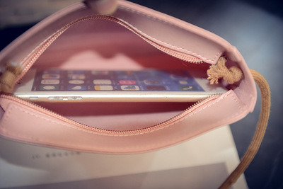 Small Shoulder Bag Mini Handbag Designer Handbag Gift Bags Promotion Handbag (WDL01178)