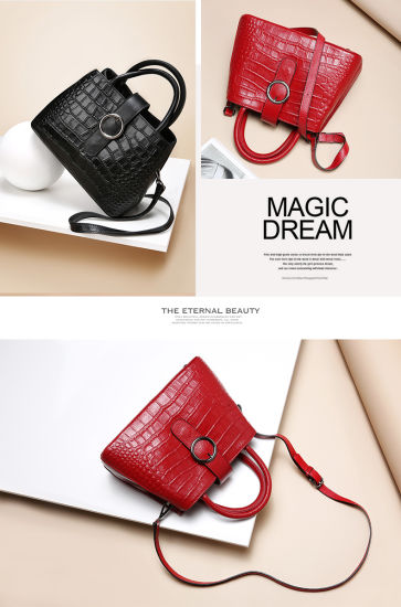 Women Fashionable Hot Sell Crossbody Handbag (WDL0118)