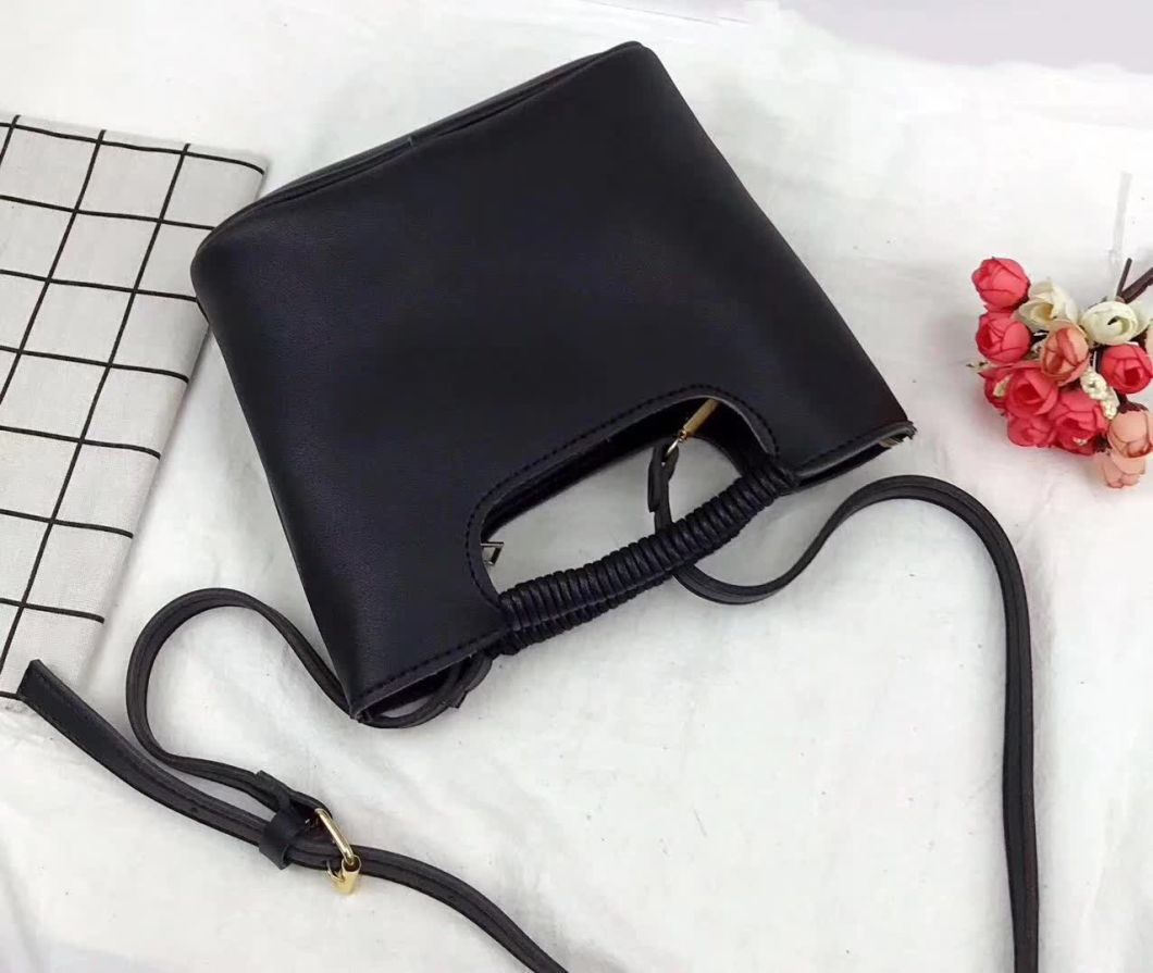 Fashion Crossbody Handbag Hot Sell Designer Ladies Bag Women Bag Popular Handbags (WDL0090)