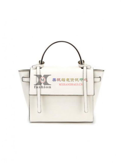 Lady Handbags Designer Handbag Fashion Handbag Tote Bag Ladies Handbag Ladies Bag Hand Bags (WDL014603)